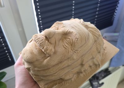 Albert Einstein in MDF